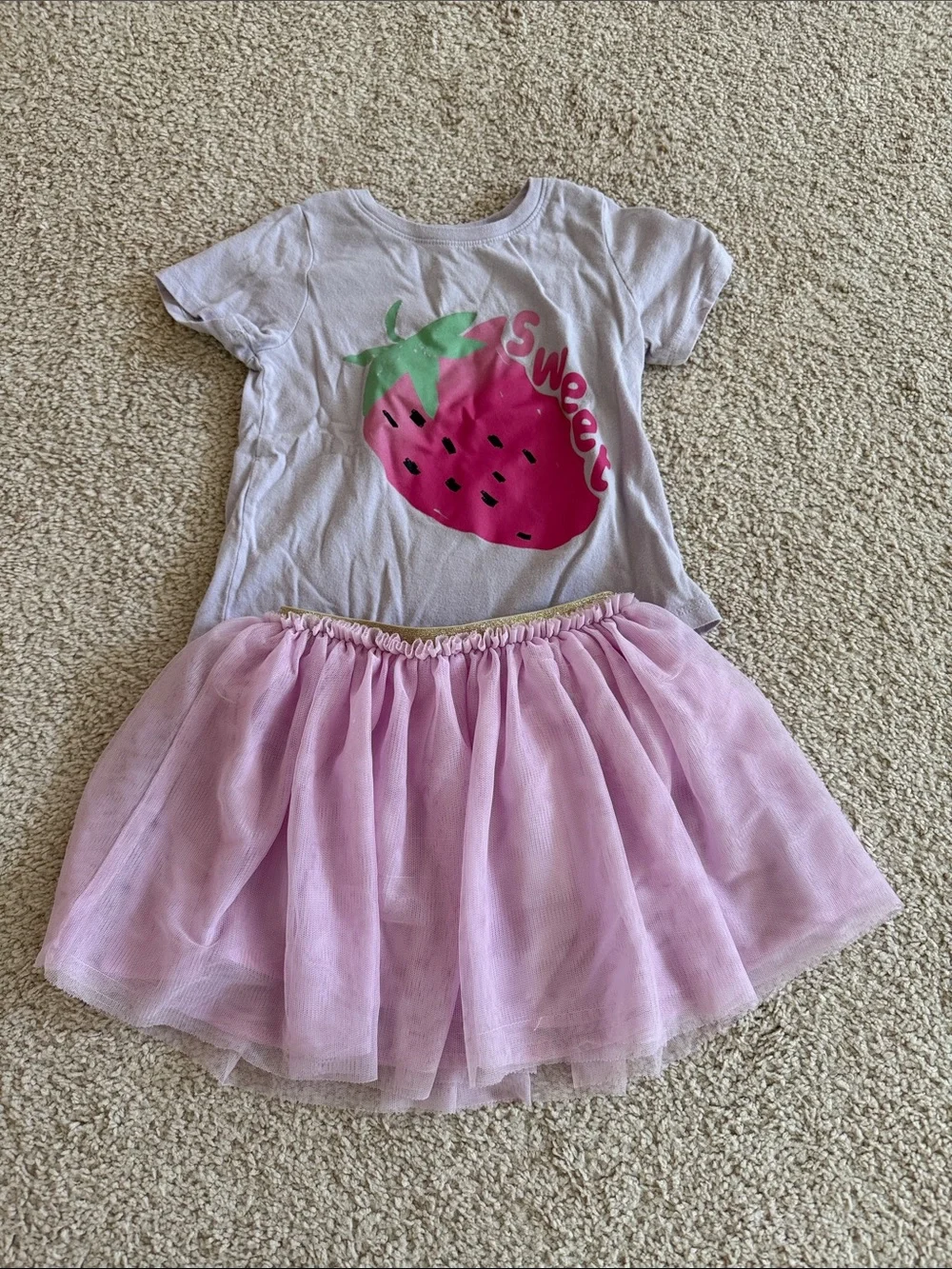 GAP Pink Strawberry Tee and Light Pink Tulle Skirt Set